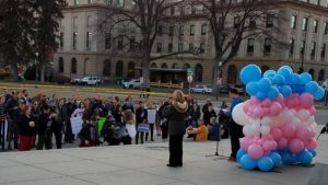 Trans Support Rally March 2020 Crowd, Balloons