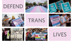 Defend Trans Lives Blog Image