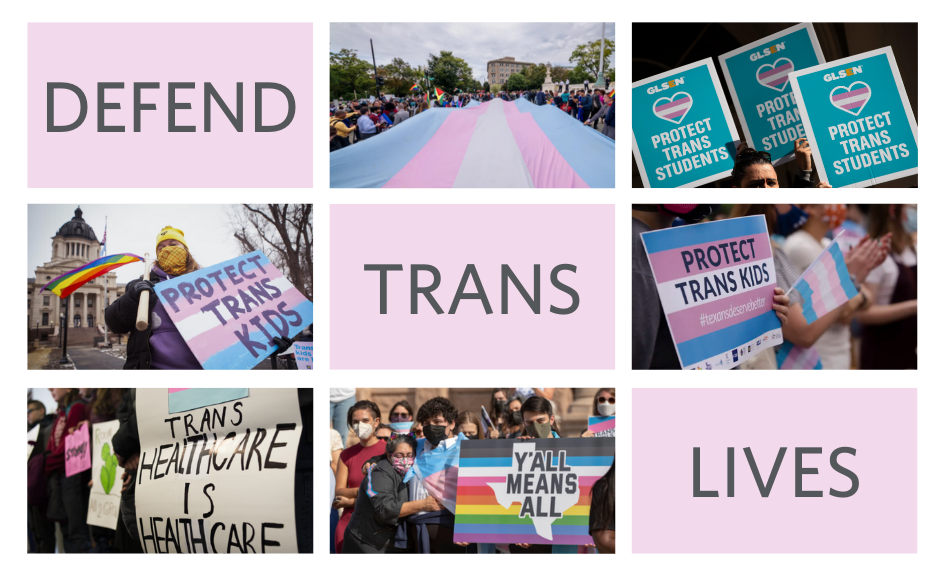 Defend Trans Lives Blog Image