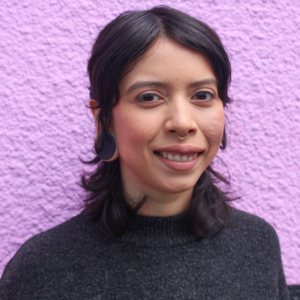 A Latine person with shoulder-length brown hair that curls out at the ends, and with large black plugs in their earlobes and a septum ring stands in front of a textured light pink-purple wall in a dark gray sweater.